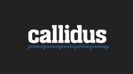 Callidus Building Surveys