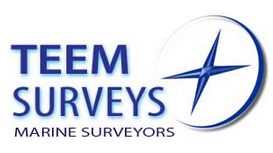 Teem Surveys